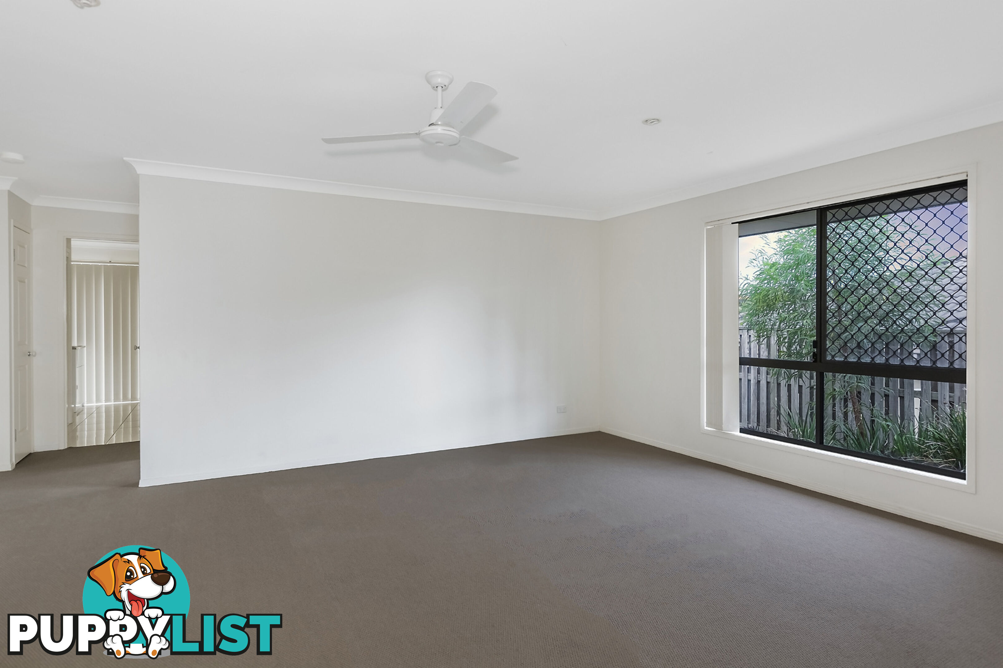 3 Silver Sedge Way UPPER COOMERA QLD 4209