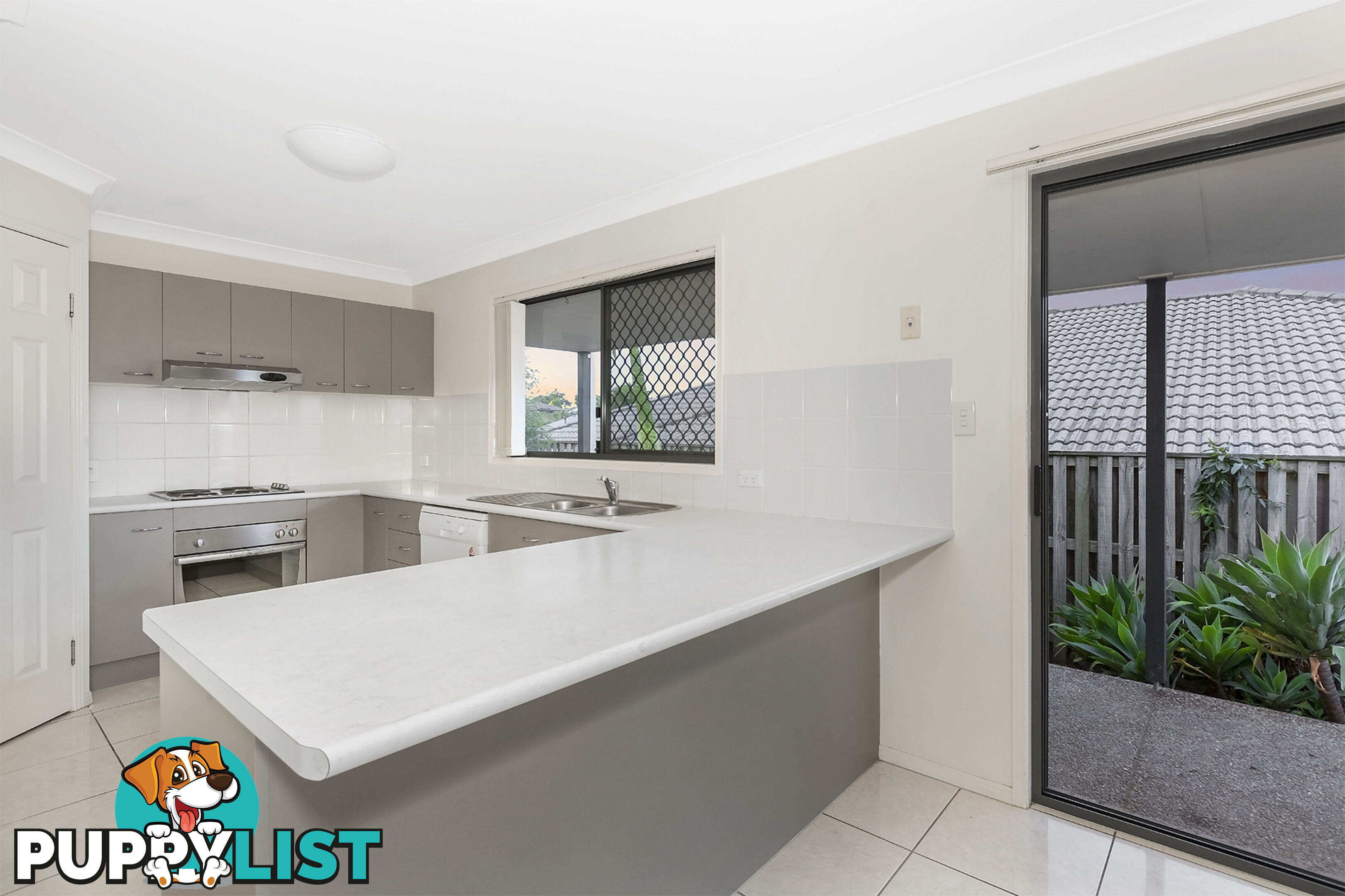 3 Silver Sedge Way UPPER COOMERA QLD 4209