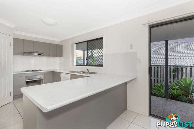 3 Silver Sedge Way UPPER COOMERA QLD 4209