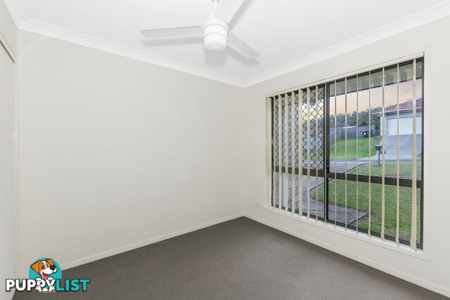 3 Silver Sedge Way UPPER COOMERA QLD 4209