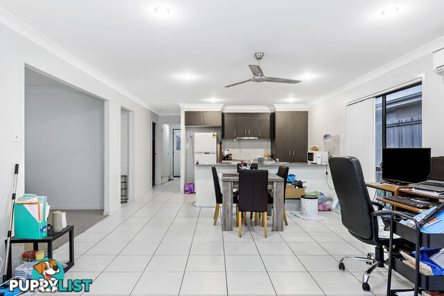 8 Alessandra Circuit COOMERA QLD 4209