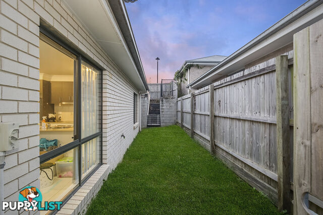 8 Alessandra Circuit COOMERA QLD 4209