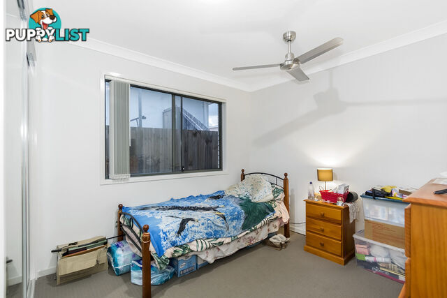 8 Alessandra Circuit COOMERA QLD 4209