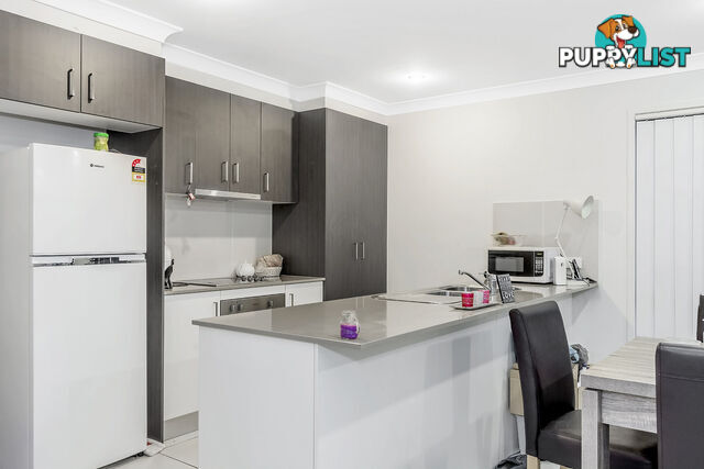 8 Alessandra Circuit COOMERA QLD 4209