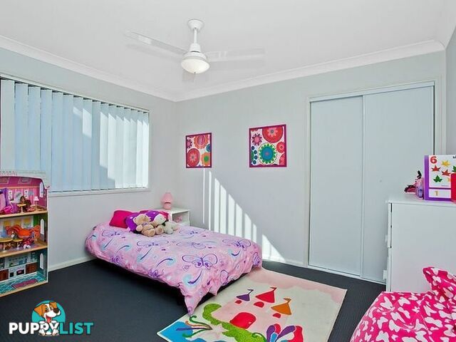 20 Billinghurst Crescent UPPER COOMERA QLD 4209