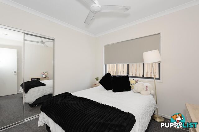 66 Rivina Circuit COOMERA QLD 4209