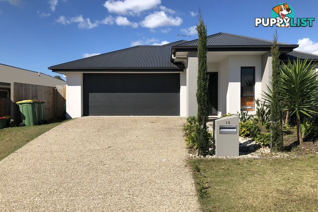 12 Ferngrove Street PIMPAMA QLD 4209