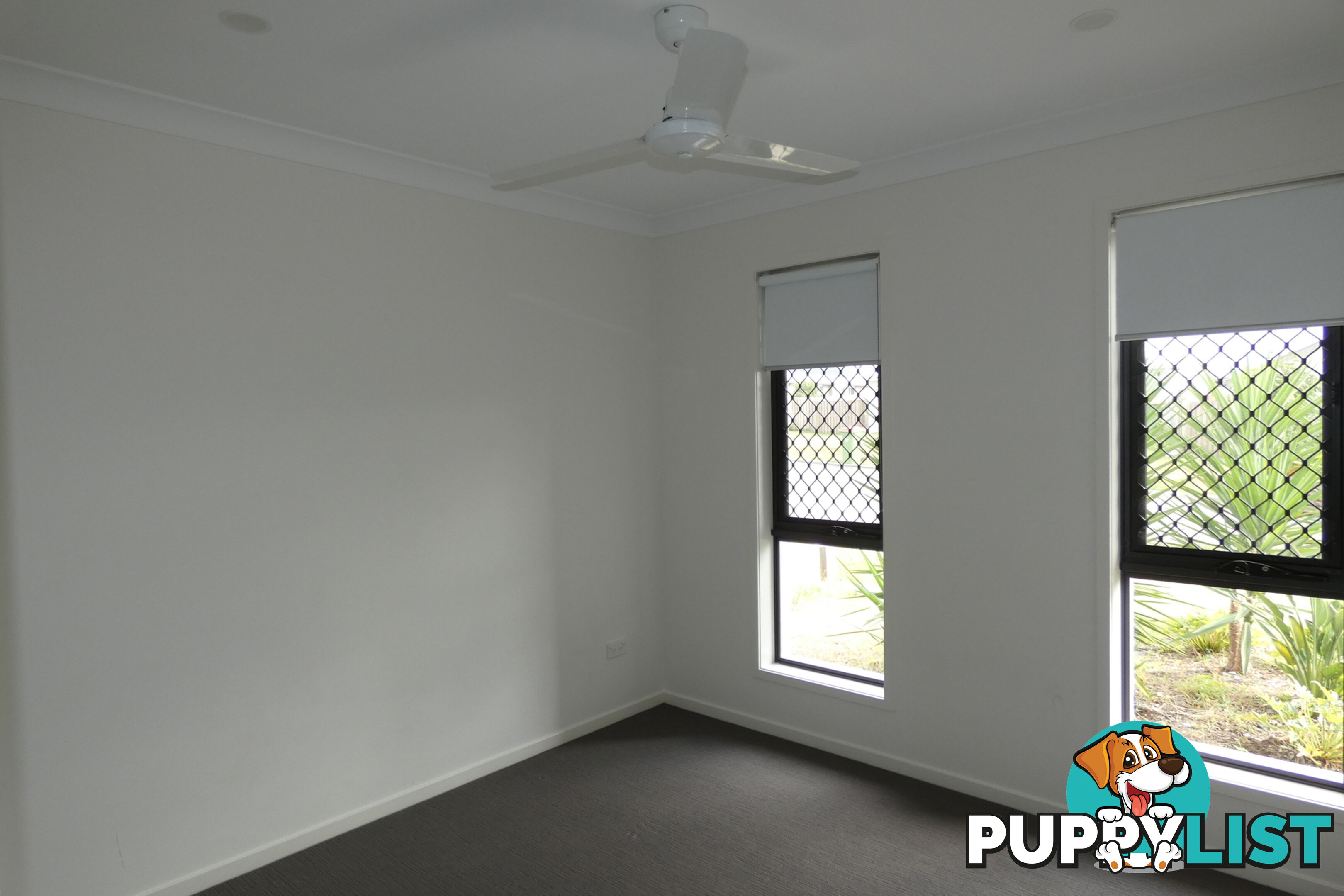 12 Ferngrove Street PIMPAMA QLD 4209