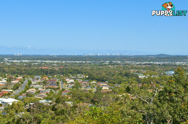 36A Jenkins Court UPPER COOMERA QLD 4209