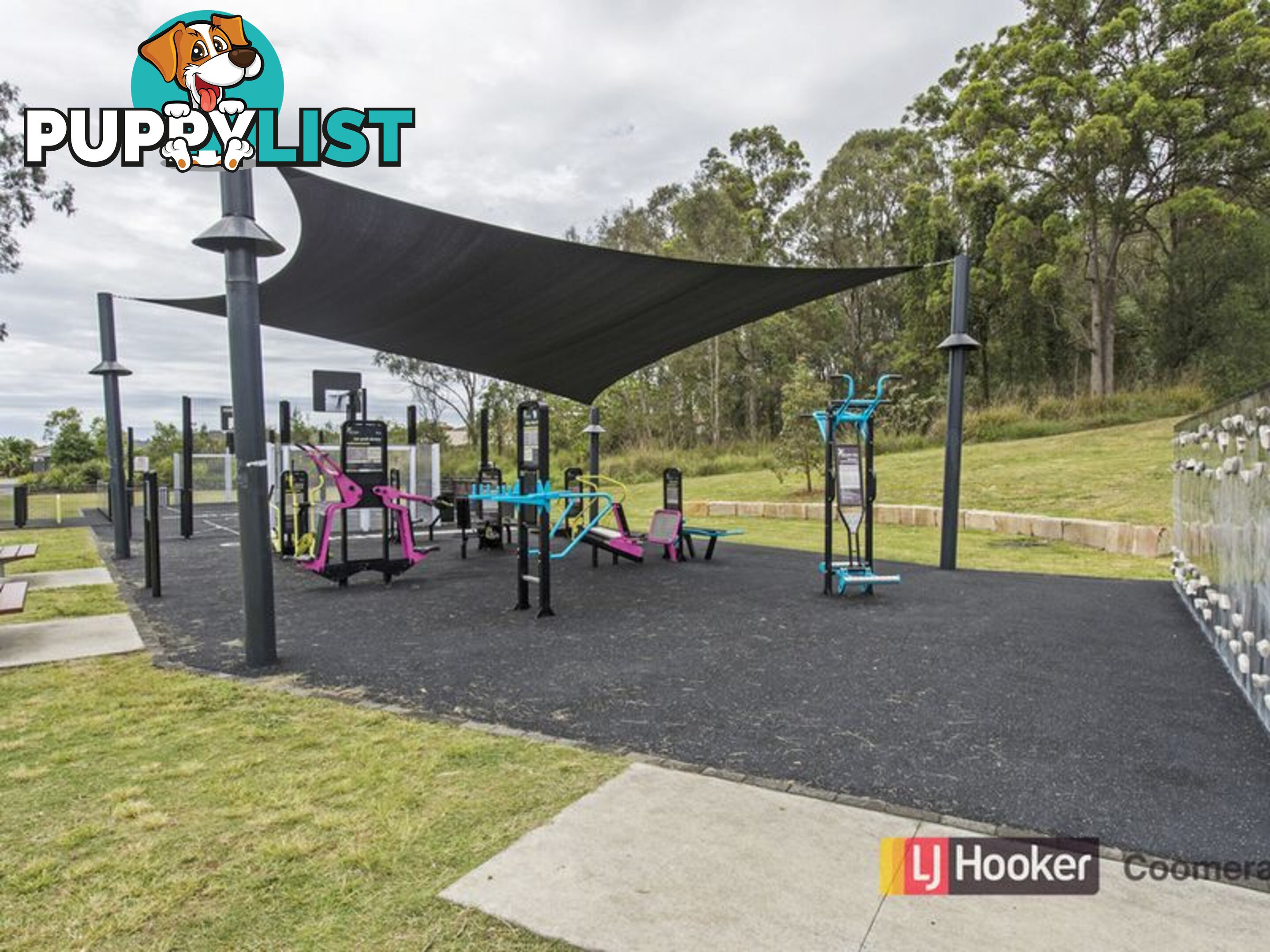 27 Firecrest Close UPPER COOMERA QLD 4209