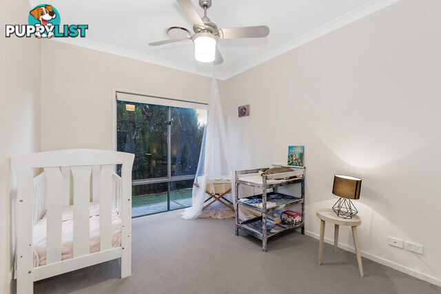 8 Bottletree Court COOMERA QLD 4209