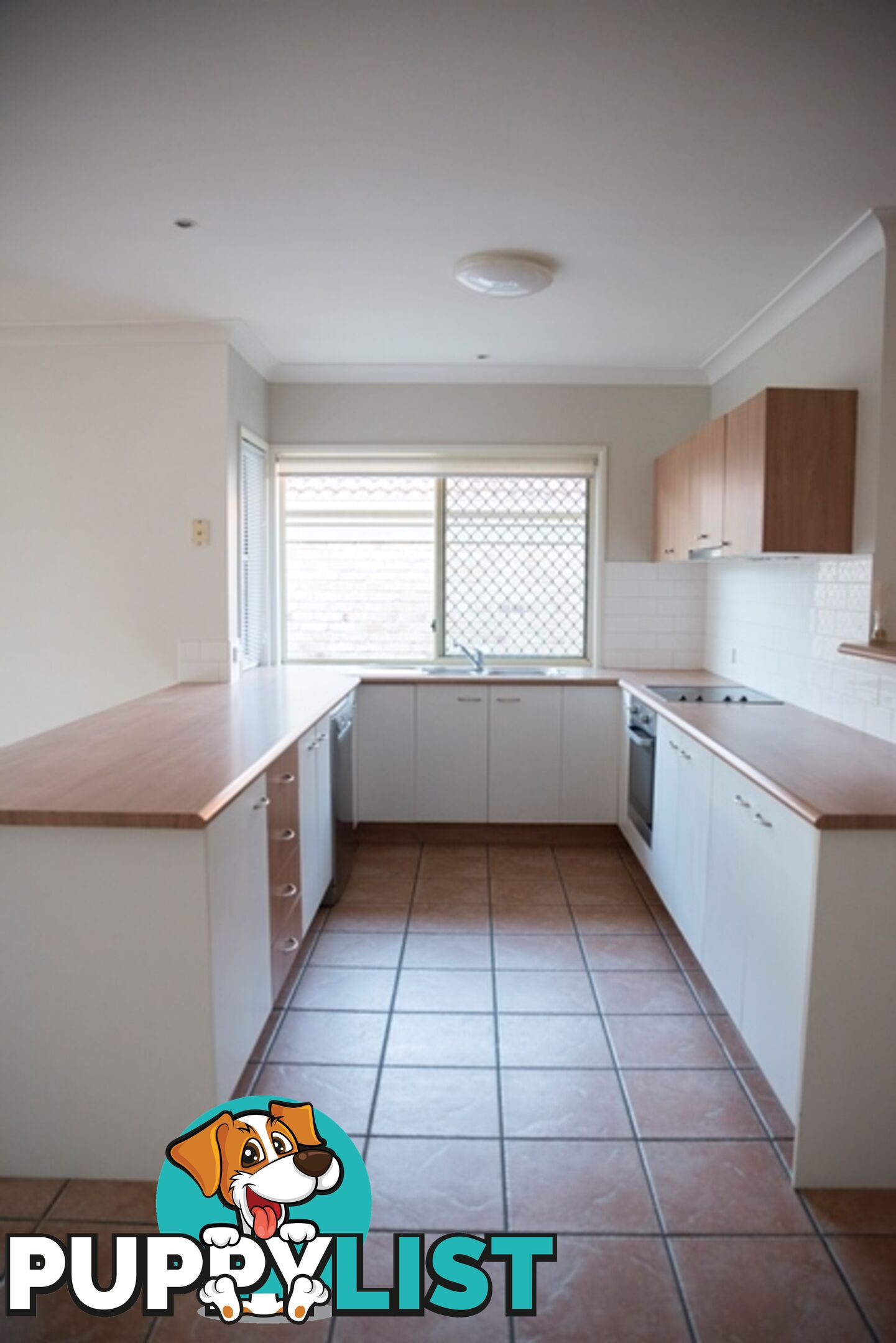 37 Con Brio Boulevard UPPER COOMERA QLD 4209