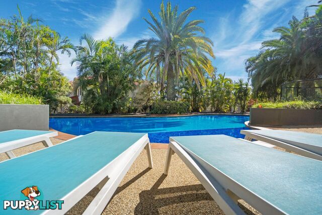 14 Blackwattle Circuit ARUNDEL QLD 4214