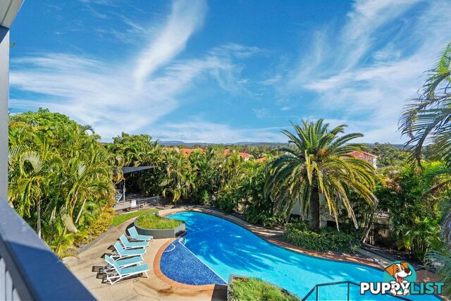 14 Blackwattle Circuit ARUNDEL QLD 4214