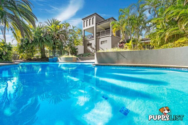 14 Blackwattle Circuit ARUNDEL QLD 4214