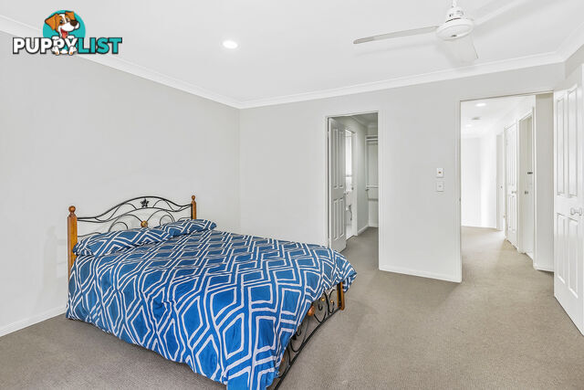 14/24 Jessica Drive UPPER COOMERA QLD 4209