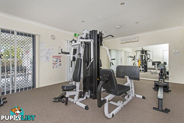 14/24 Jessica Drive UPPER COOMERA QLD 4209