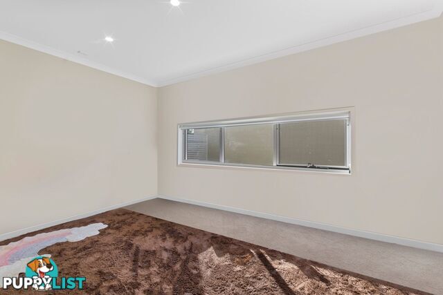 21 Rundle Avenue PIMPAMA QLD 4209