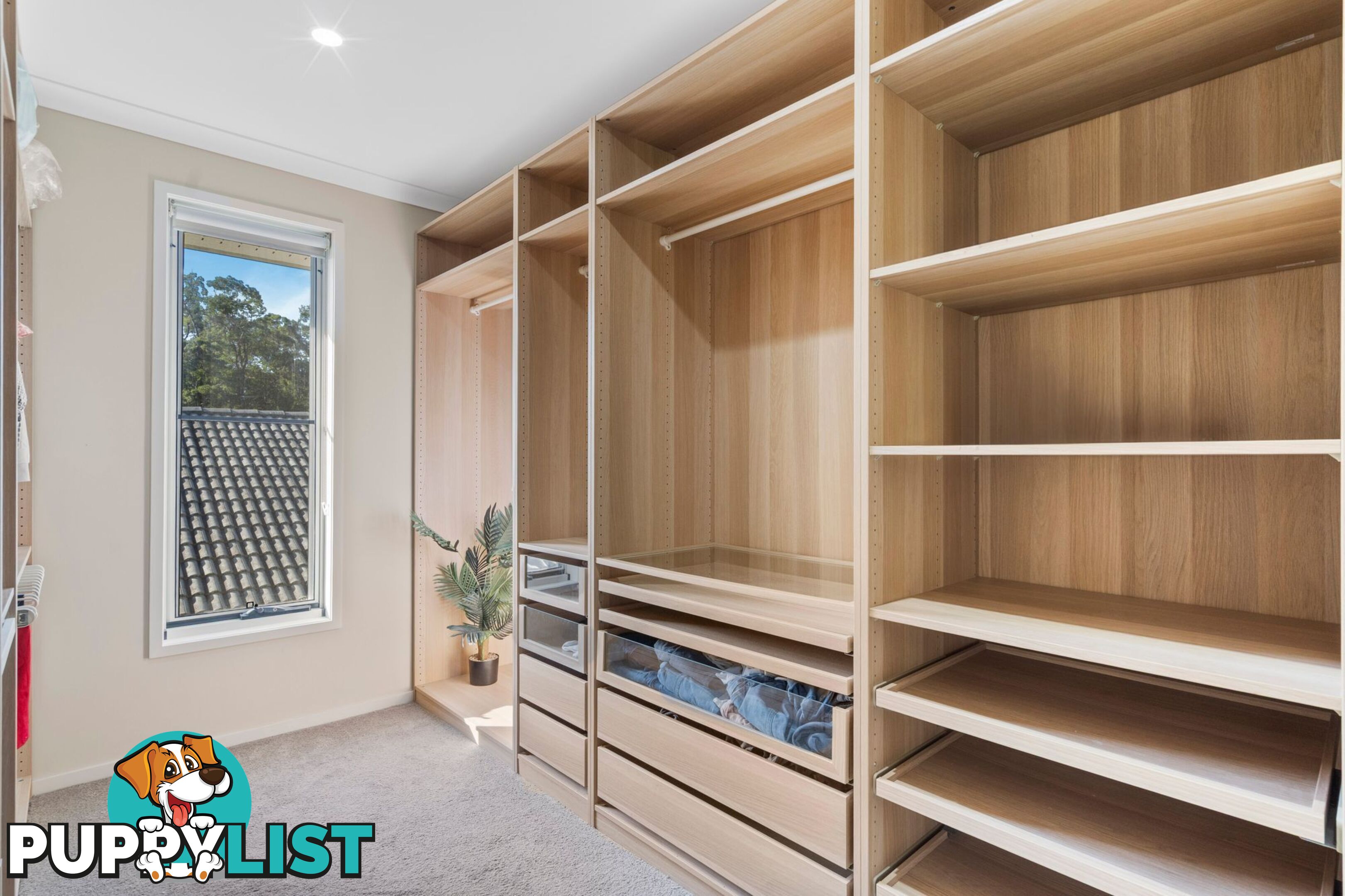 21 Rundle Avenue PIMPAMA QLD 4209