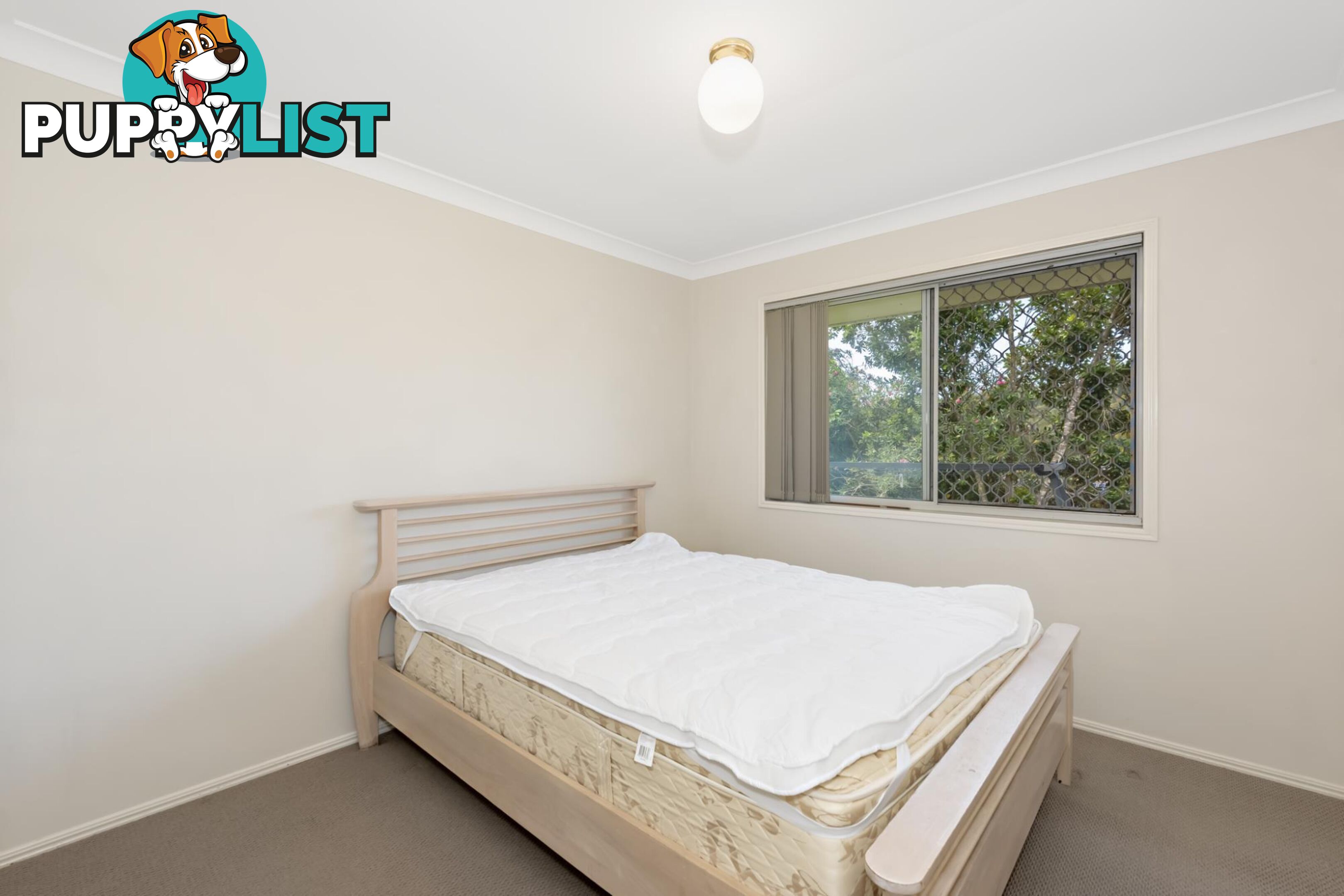 227 Universal Street OXENFORD QLD 4210