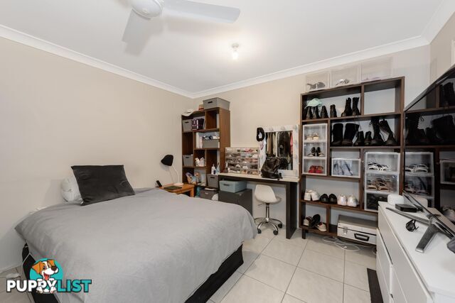 227 Universal Street OXENFORD QLD 4210