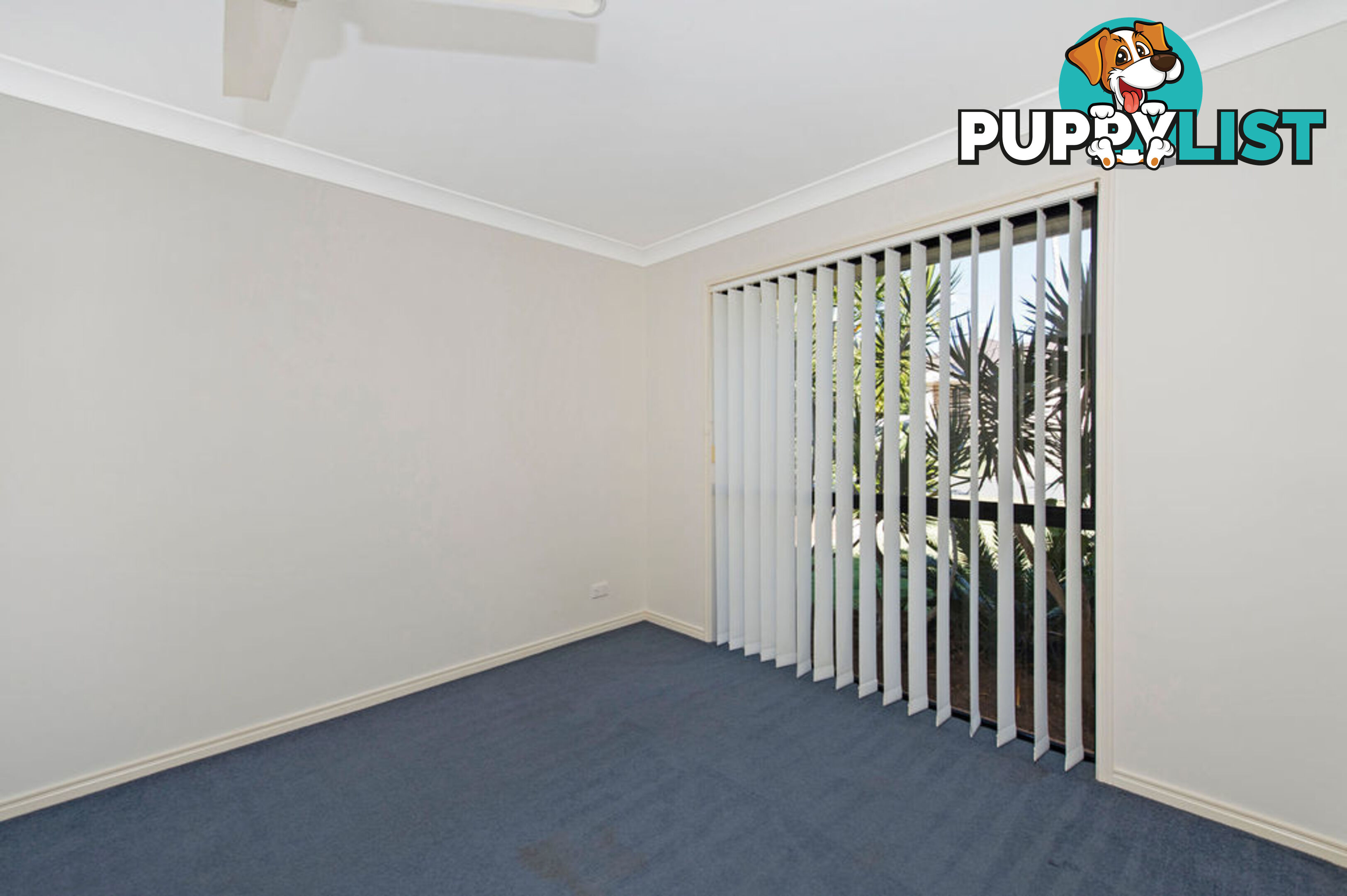 21 Firecrest Close UPPER COOMERA QLD 4209