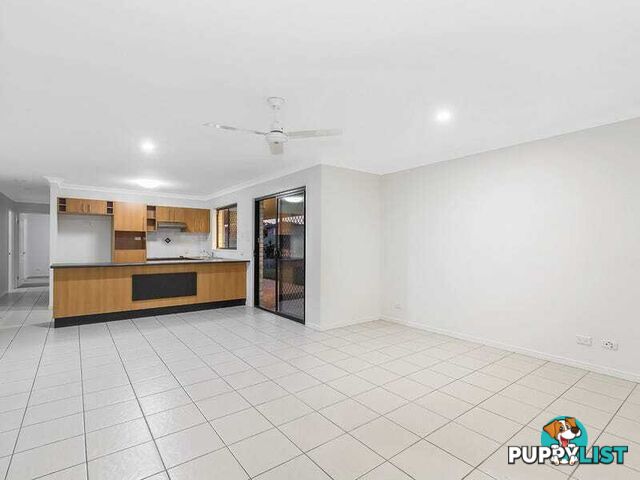 53 Glentree Avenue UPPER COOMERA QLD 4209