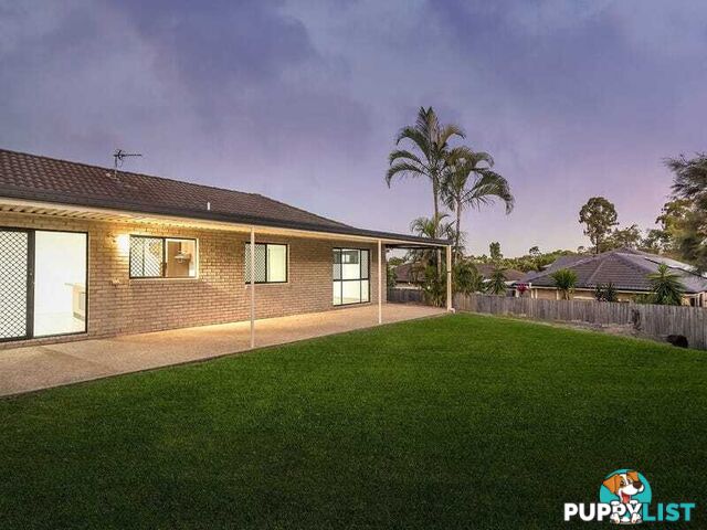 53 Glentree Avenue UPPER COOMERA QLD 4209