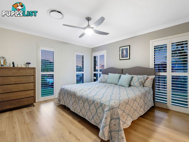 3 Peafowl Street UPPER COOMERA QLD 4209