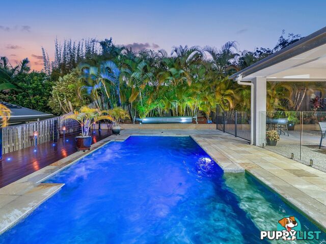 3 Peafowl Street UPPER COOMERA QLD 4209