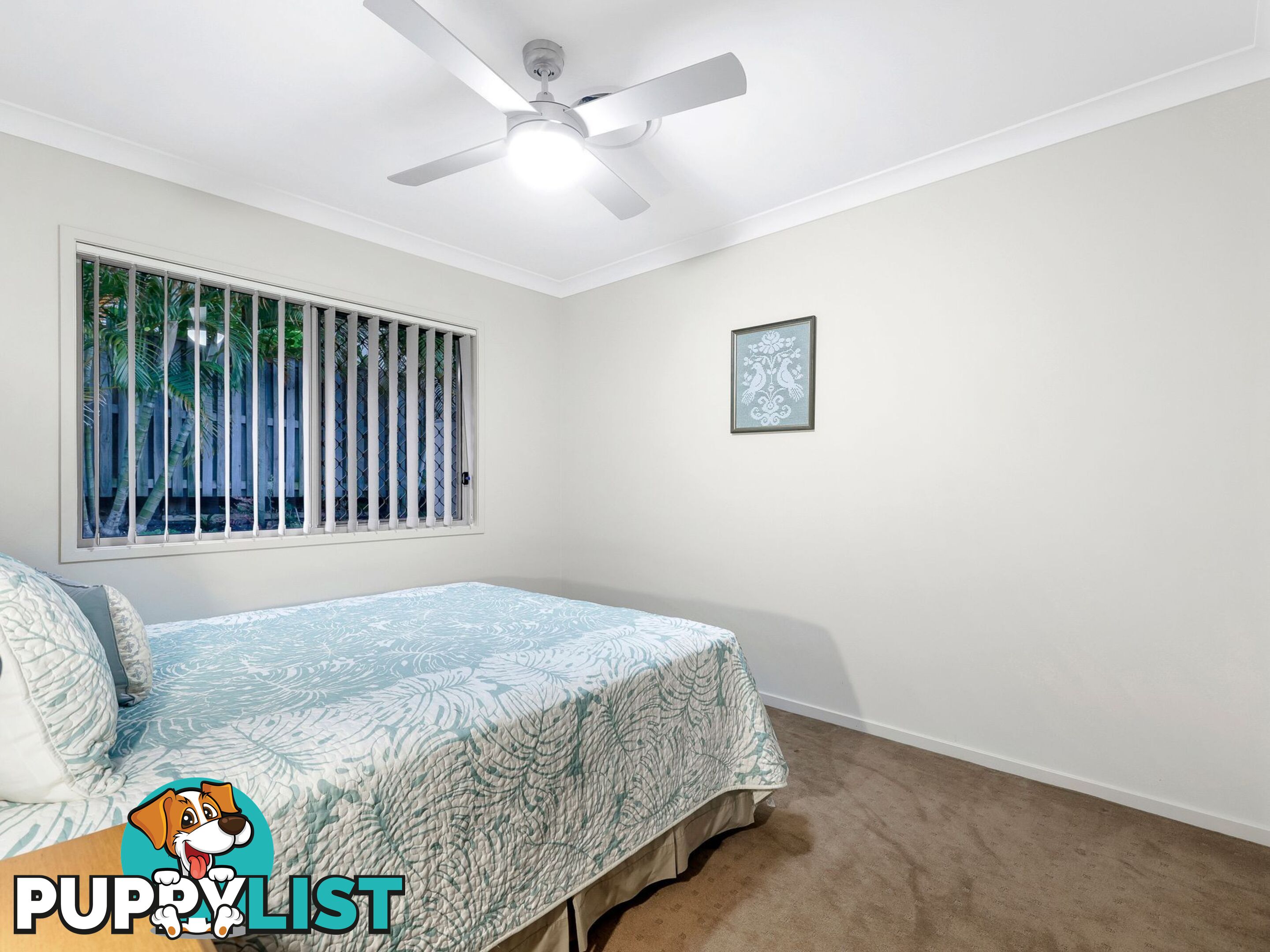 3 Peafowl Street UPPER COOMERA QLD 4209