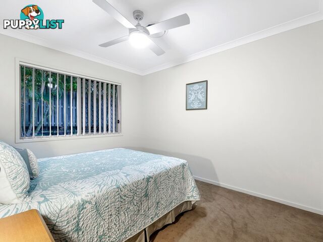 3 Peafowl Street UPPER COOMERA QLD 4209