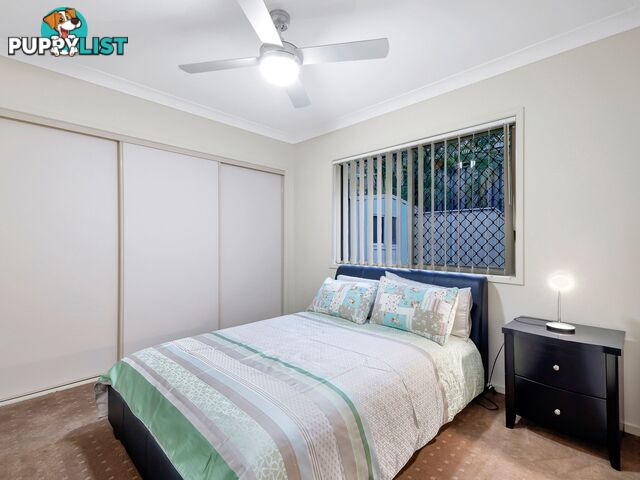3 Peafowl Street UPPER COOMERA QLD 4209