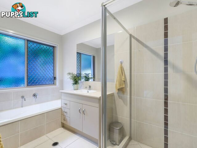 3 Peafowl Street UPPER COOMERA QLD 4209
