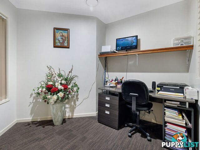 3 Peafowl Street UPPER COOMERA QLD 4209