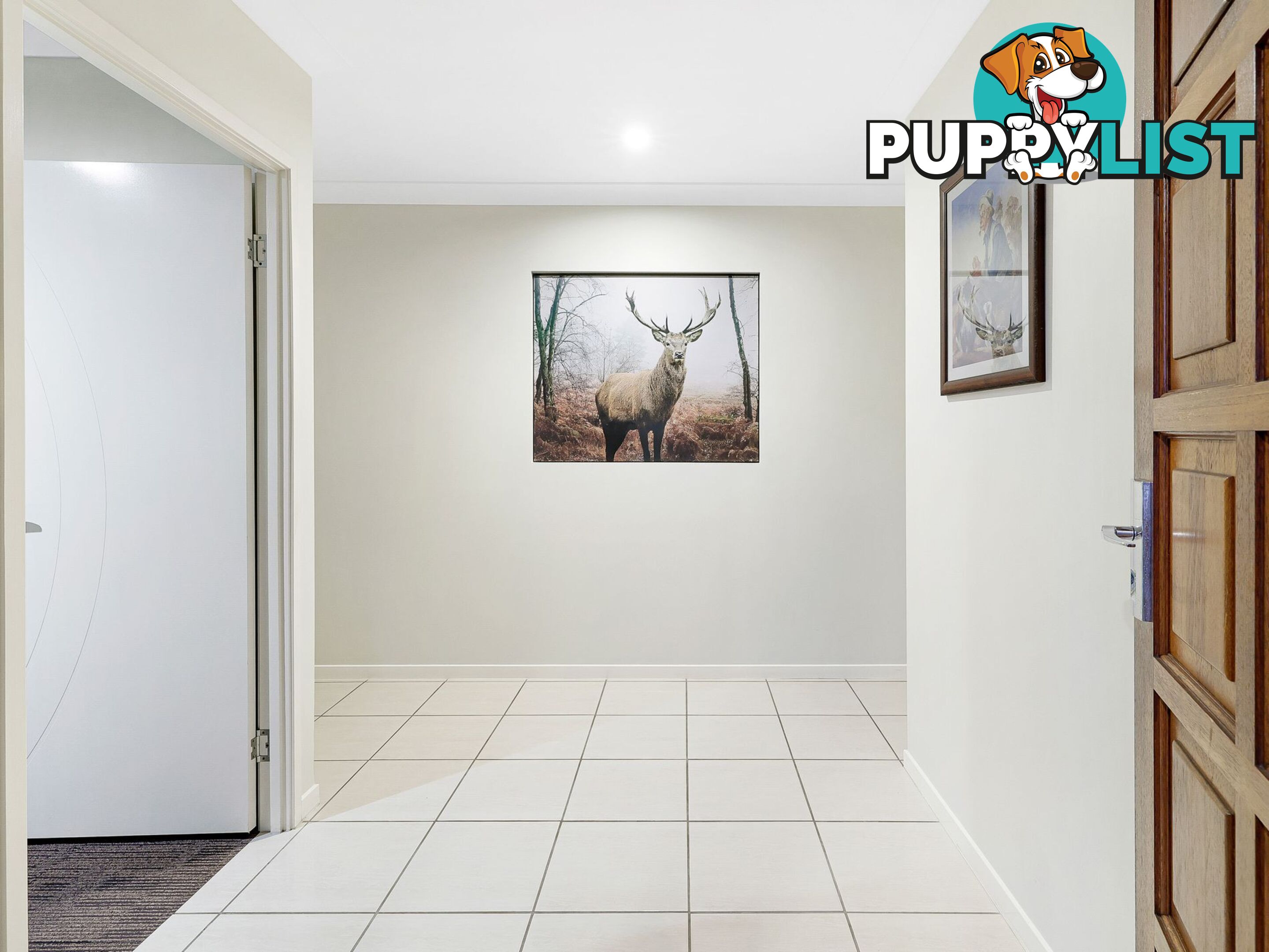 3 Peafowl Street UPPER COOMERA QLD 4209