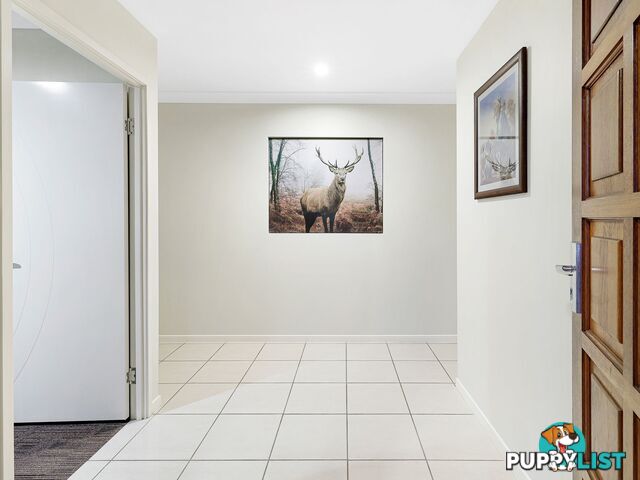 3 Peafowl Street UPPER COOMERA QLD 4209