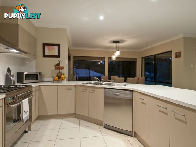 20 Piccolo Street COOMERA WATERS QLD 4209