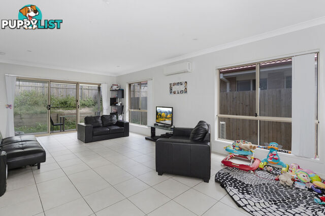 13 Tyrol Road COOMERA QLD 4209