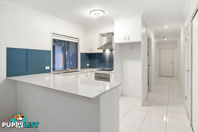 11 Isetta Court UPPER COOMERA QLD 4209