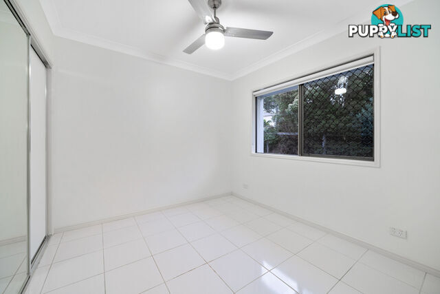 11 Isetta Court UPPER COOMERA QLD 4209