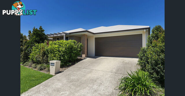 11 Greenmount Street PIMPAMA QLD 4209