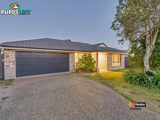 7 Kaizlee Crescent UPPER COOMERA QLD 4209