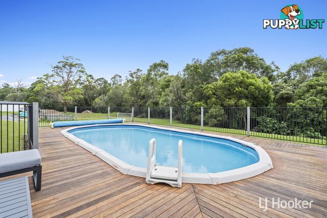 19 Fred Astaire Avenue MAUDSLAND QLD 4210