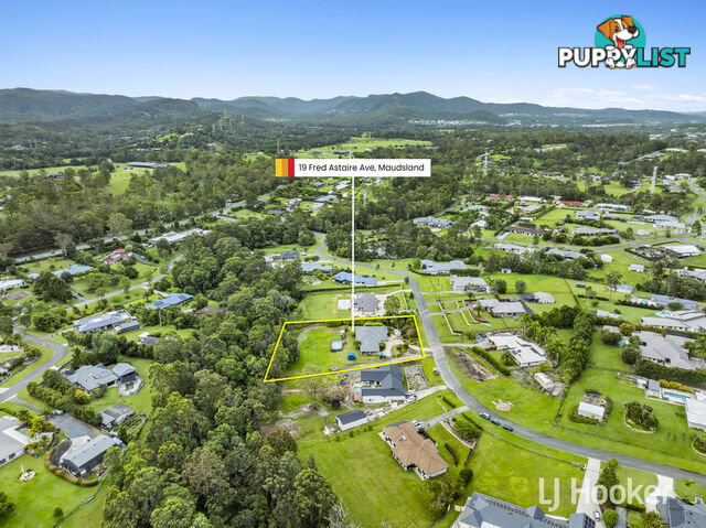 19 Fred Astaire Avenue MAUDSLAND QLD 4210