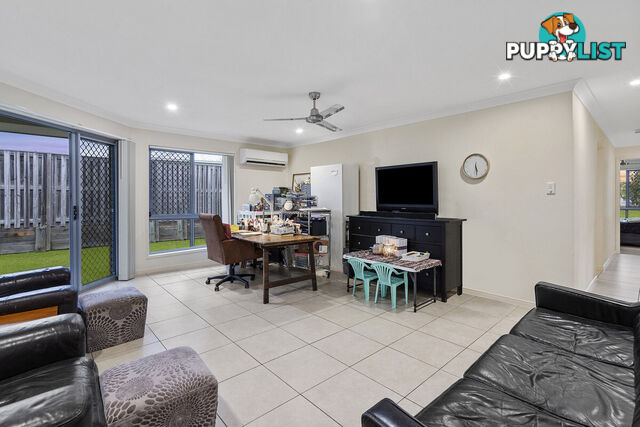 19 Cypress Circuit COOMERA QLD 4209