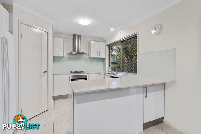 19 Cypress Circuit COOMERA QLD 4209