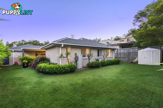 19 Redstart Street UPPER COOMERA QLD 4209