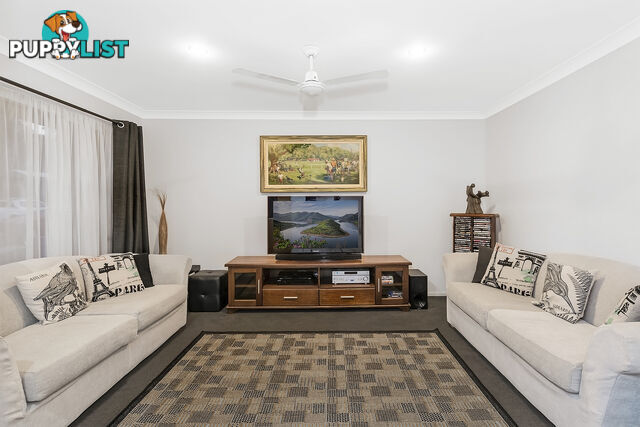 19 Redstart Street UPPER COOMERA QLD 4209