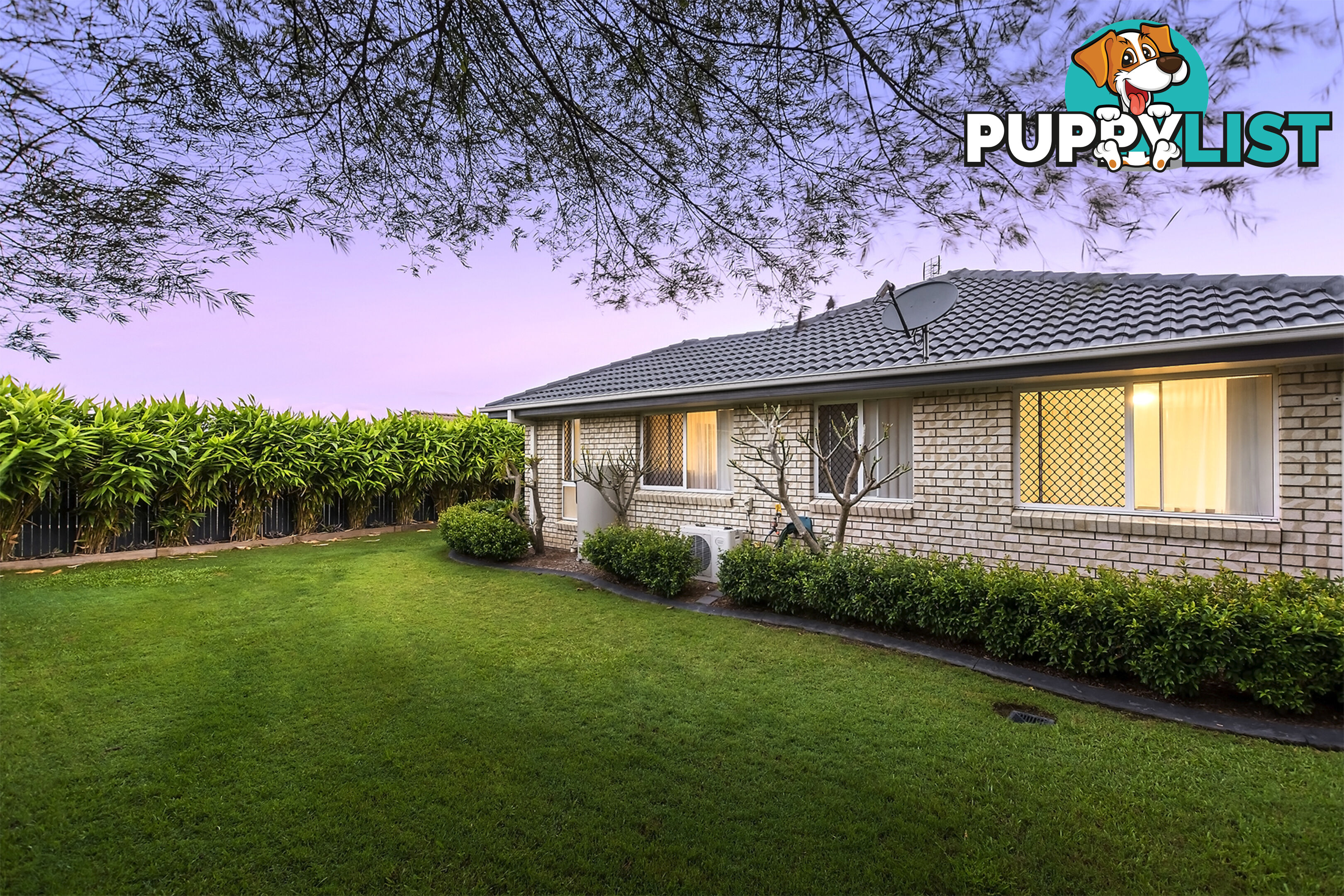 19 Redstart Street UPPER COOMERA QLD 4209